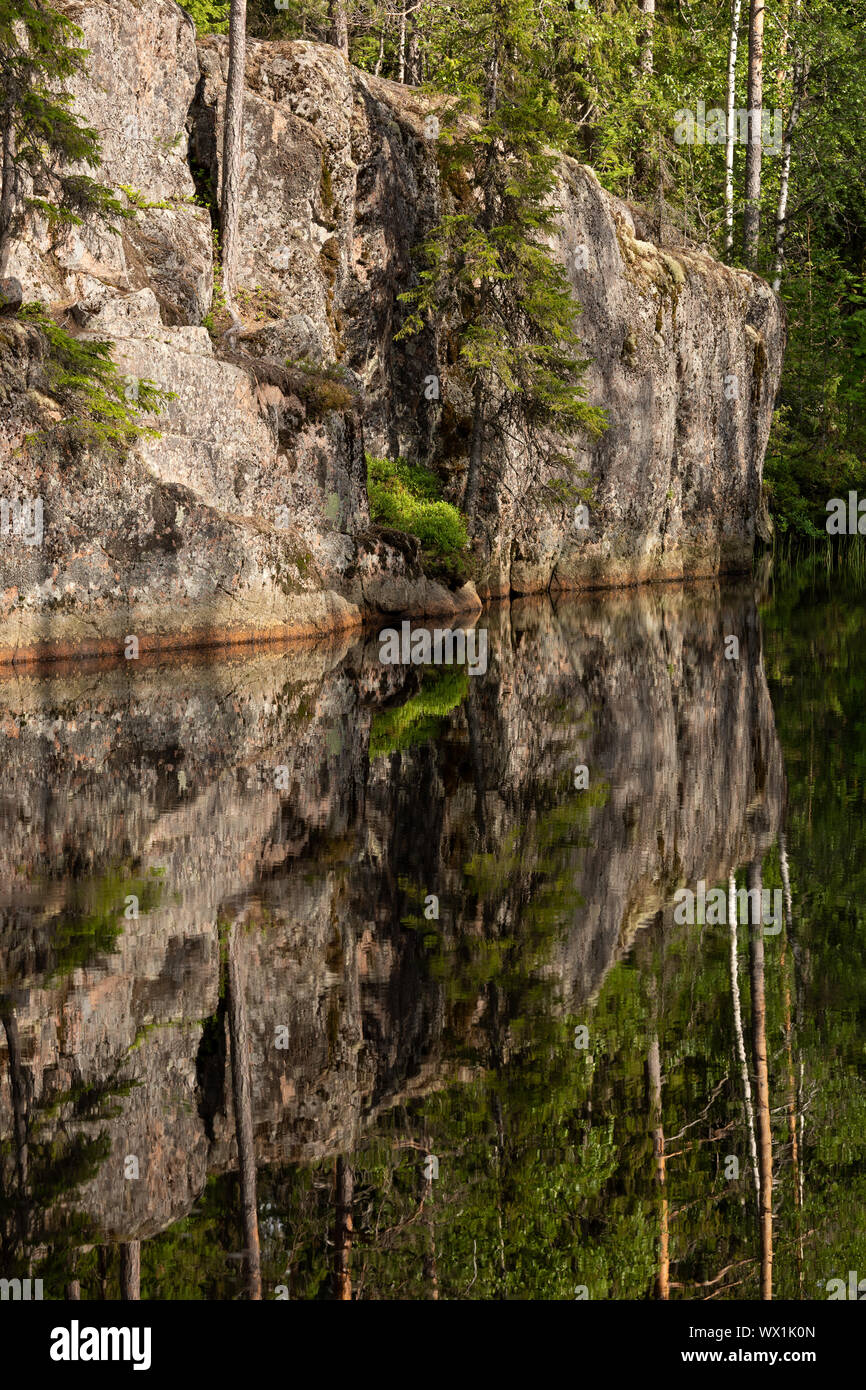 Rock reflectin à l'abstract dans forest lake Banque D'Images