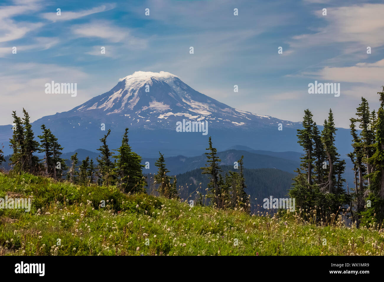 Mont Adams vu du Pacific Crest Trail crossing the Goat Rocks Wilderness, Gifford Pinchot National Forest, Washington State, USA Banque D'Images