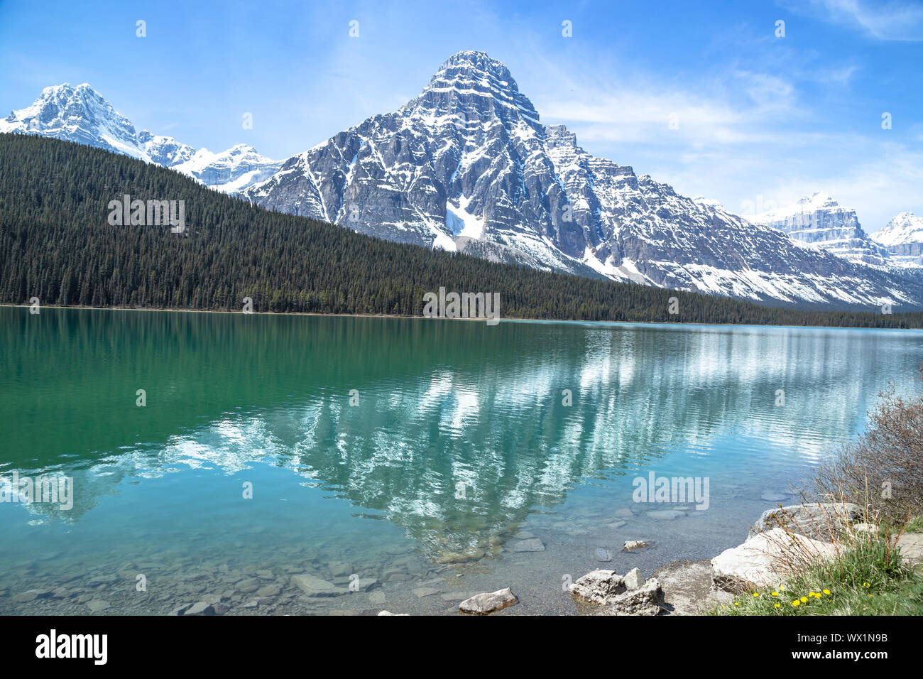 Lacs de la sauvagine réfléchissant dans le parc national Jasper Banque D'Images