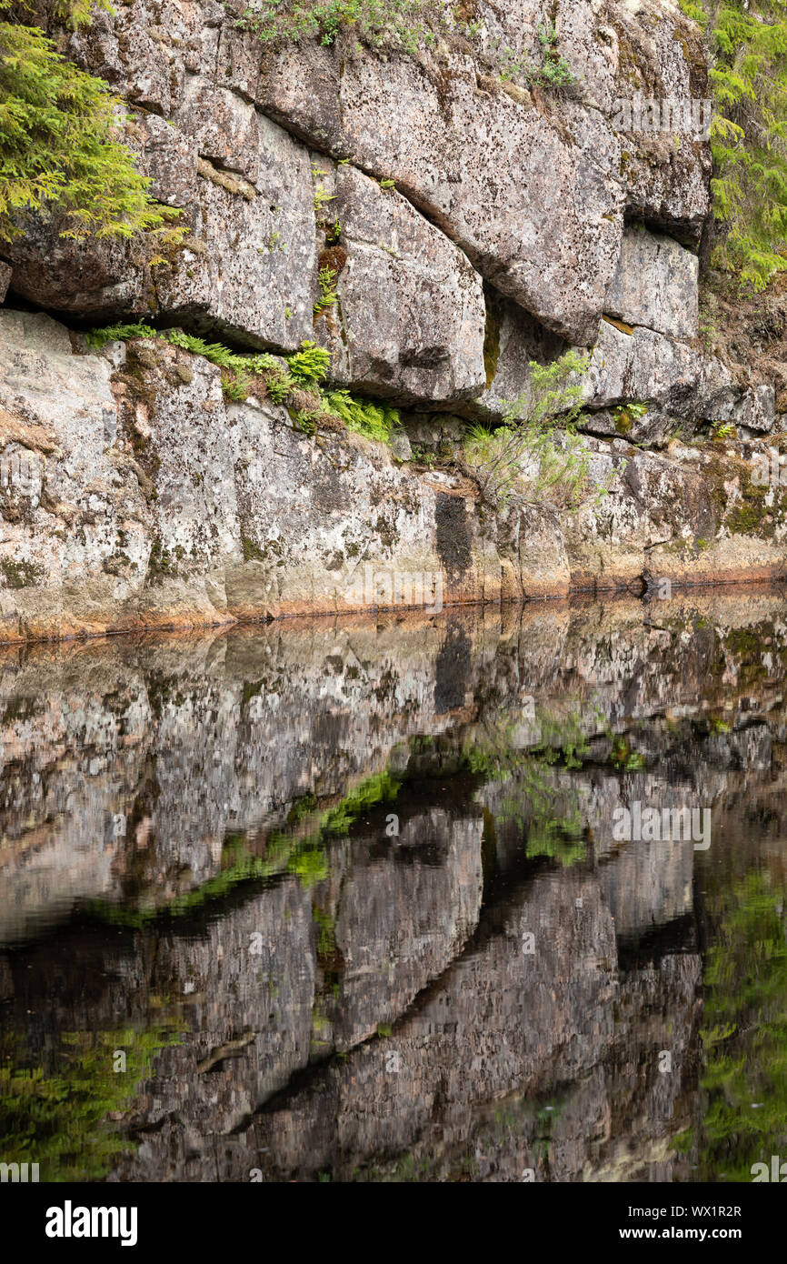 Rock reflectin à l'abstract dans forest lake Banque D'Images