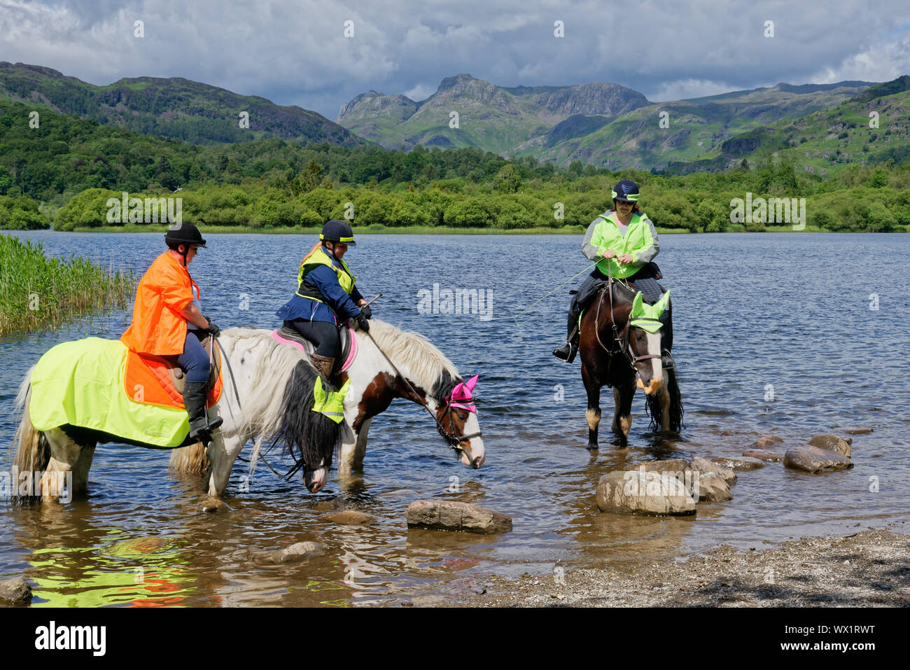 Trois femmes sur les chevaux dans Lake Road dans le Lake District, Cumbria, Royaume-Uni Banque D'Images