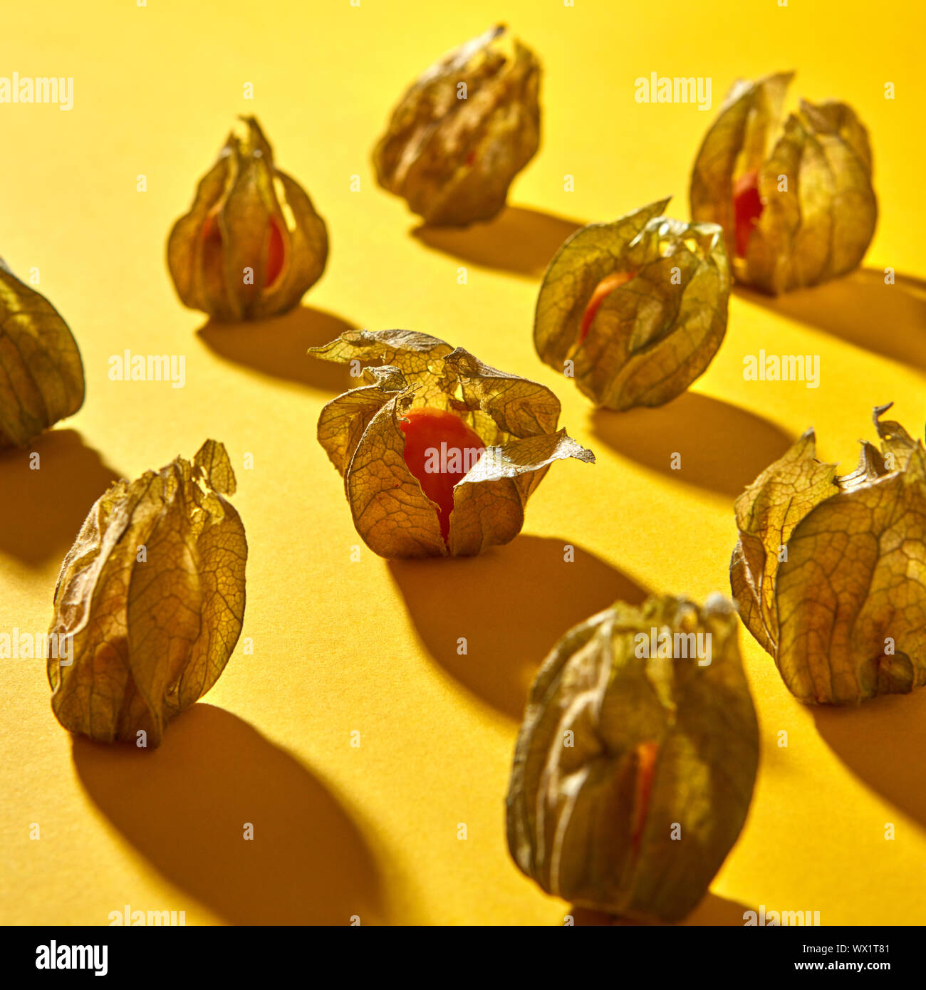 Les lignes symétriques en diagonale d'un motif avec du jaune physalis fruit avec des ombres sur un fond jaune. Banque D'Images