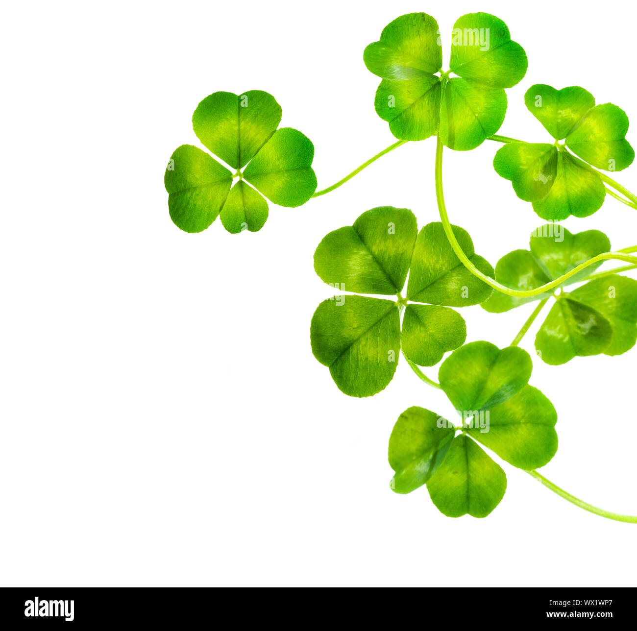 St.Patrick's Day Border Banque D'Images