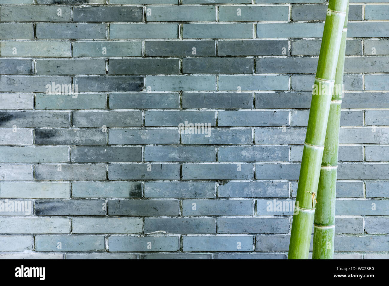 Mur de brique grise et bambou Banque D'Images
