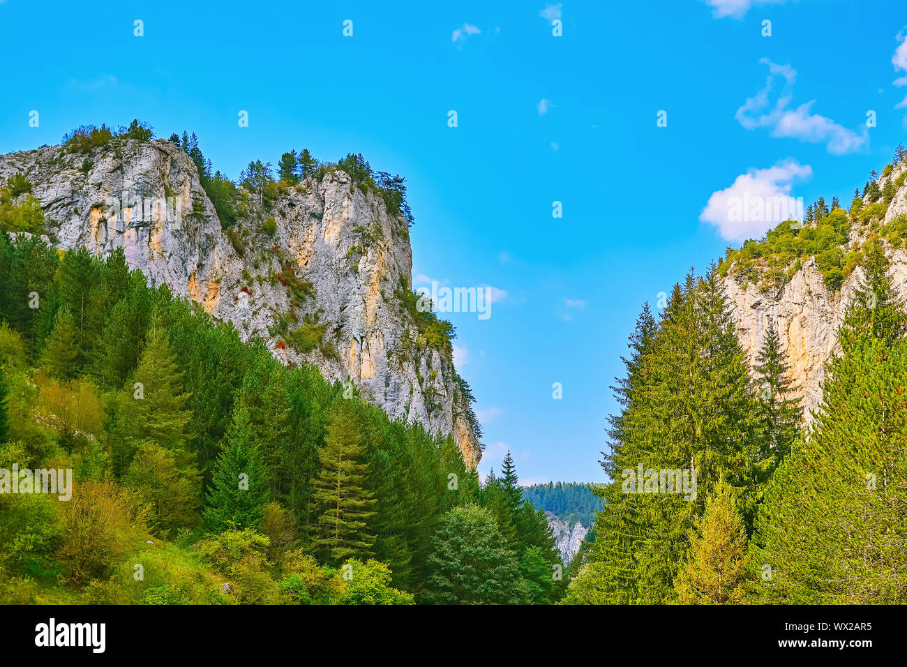 Montagnes des Rhodopes en Bulgarie Banque D'Images