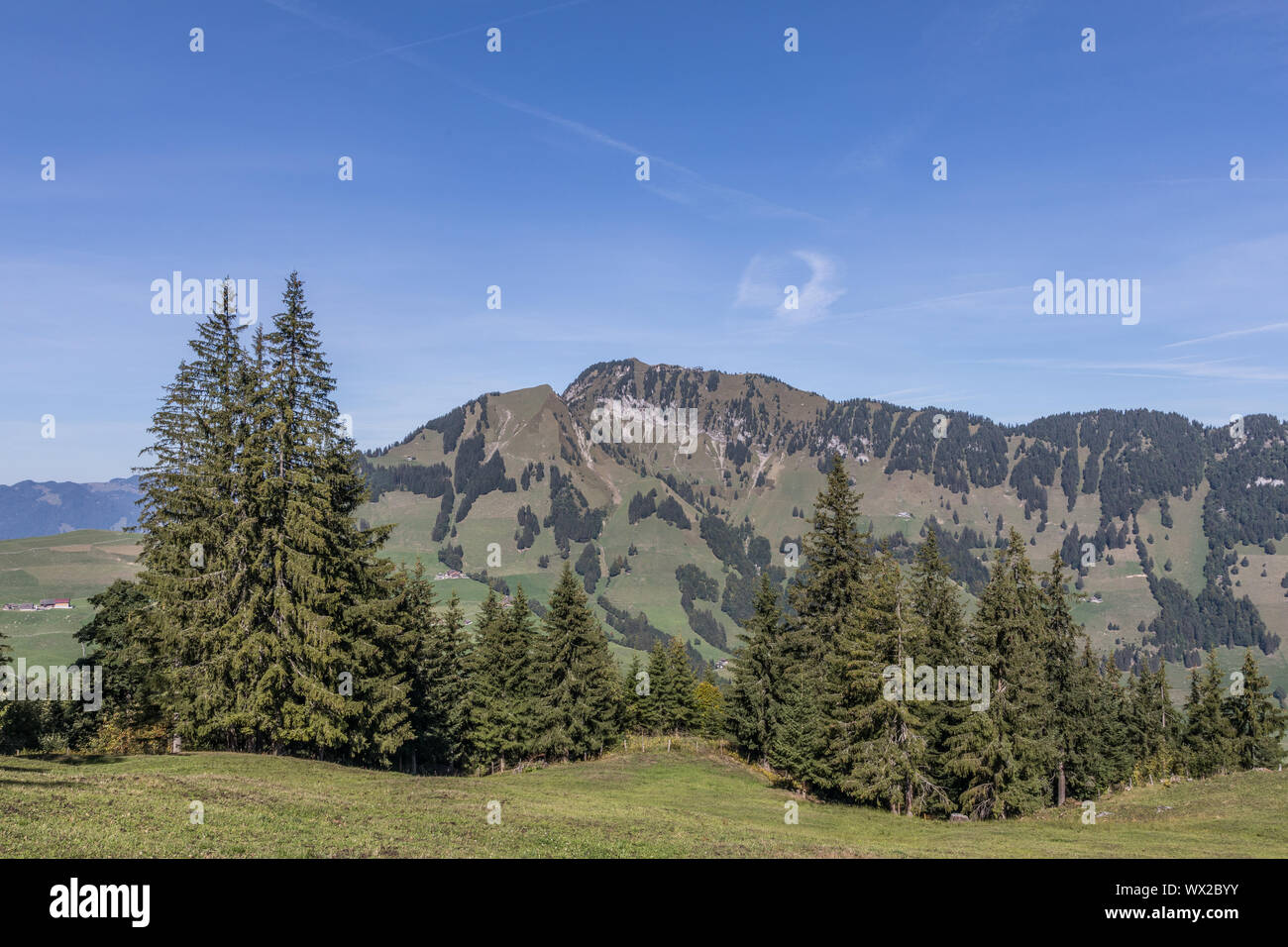 Vue sur le Stanserhorn, Kappl, Zurich, Switzerland, Europe Banque D'Images