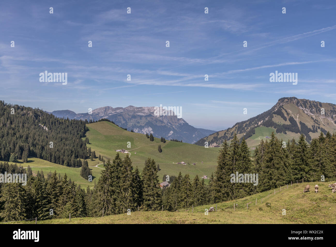 Vue sur le Stanserhorn, Gummenalp, Zurich, Switzerland, Europe Banque D'Images