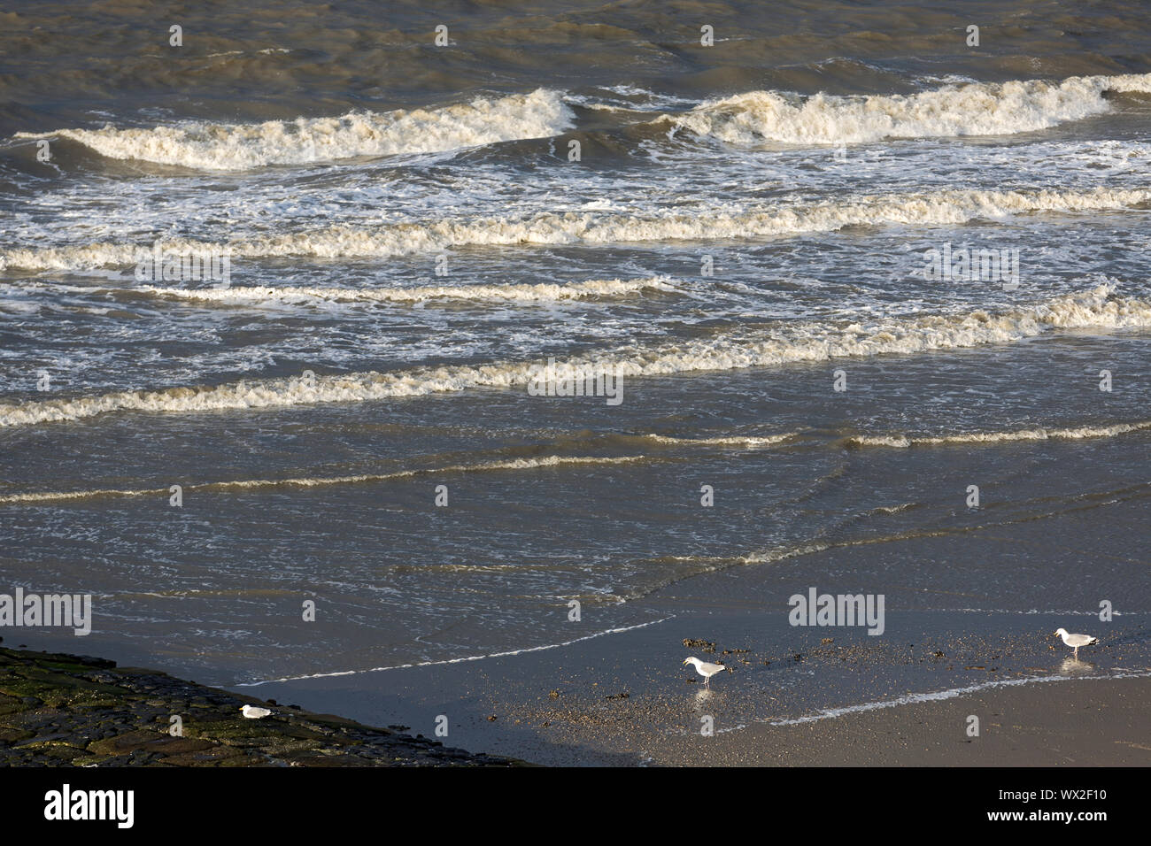 Norderney, Weststrand, Strand, Meer, stürmisch Banque D'Images