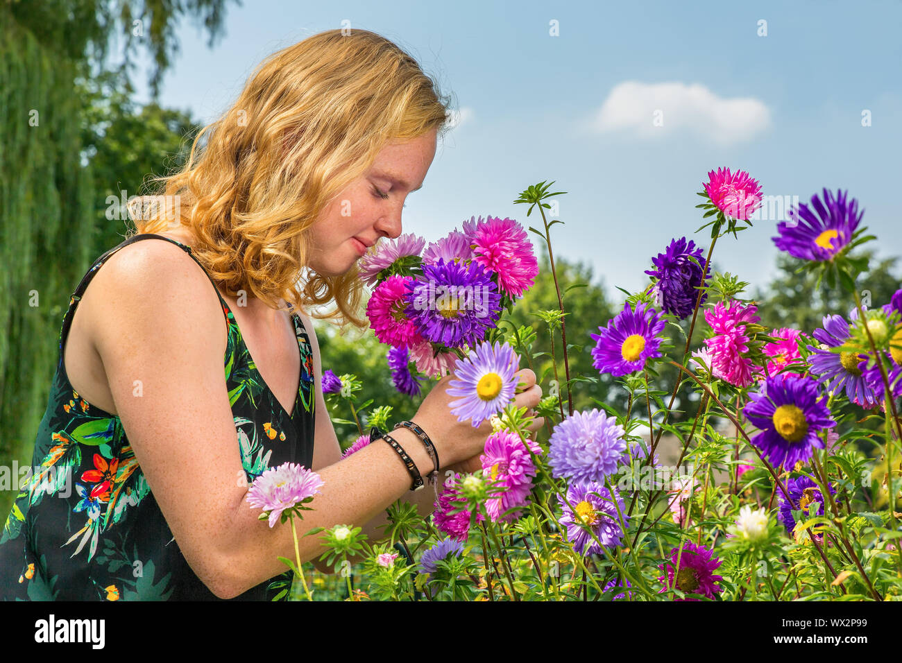 Young woman smelling flowers in garden l'été Banque D'Images