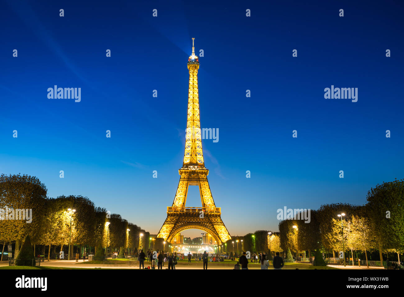 Tour Eiffel illuminée la nuit à Paris Banque D'Images