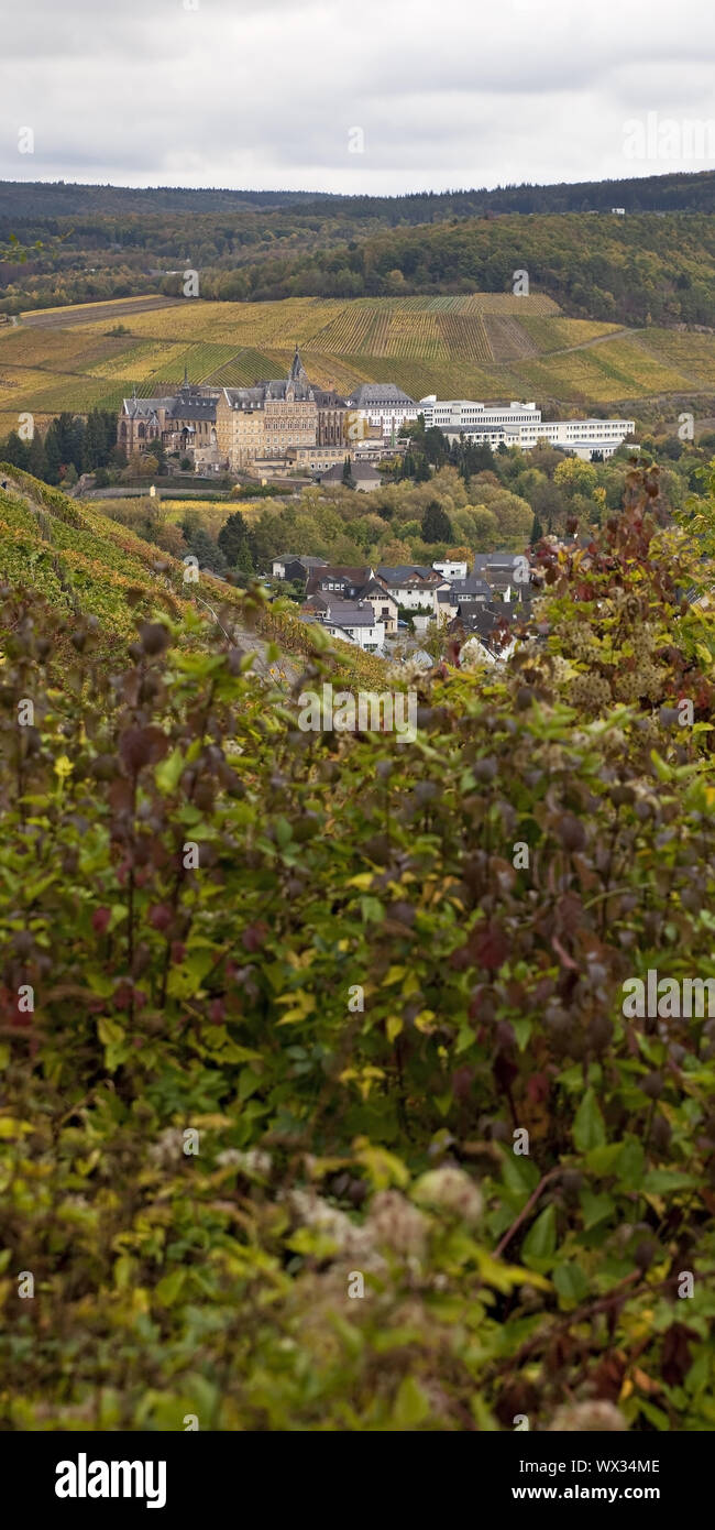 L'automne, paysage vallonné de basse montagne surplombant Altenahr, Bad Neuenahr-Ahrweiler, Allemagne, Europe Banque D'Images