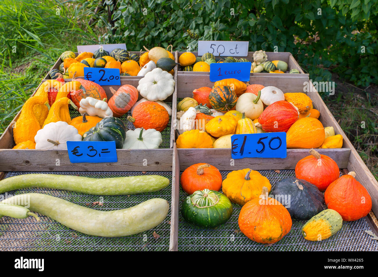Vente de fruits colorés et de citrouilles calebasses Banque D'Images