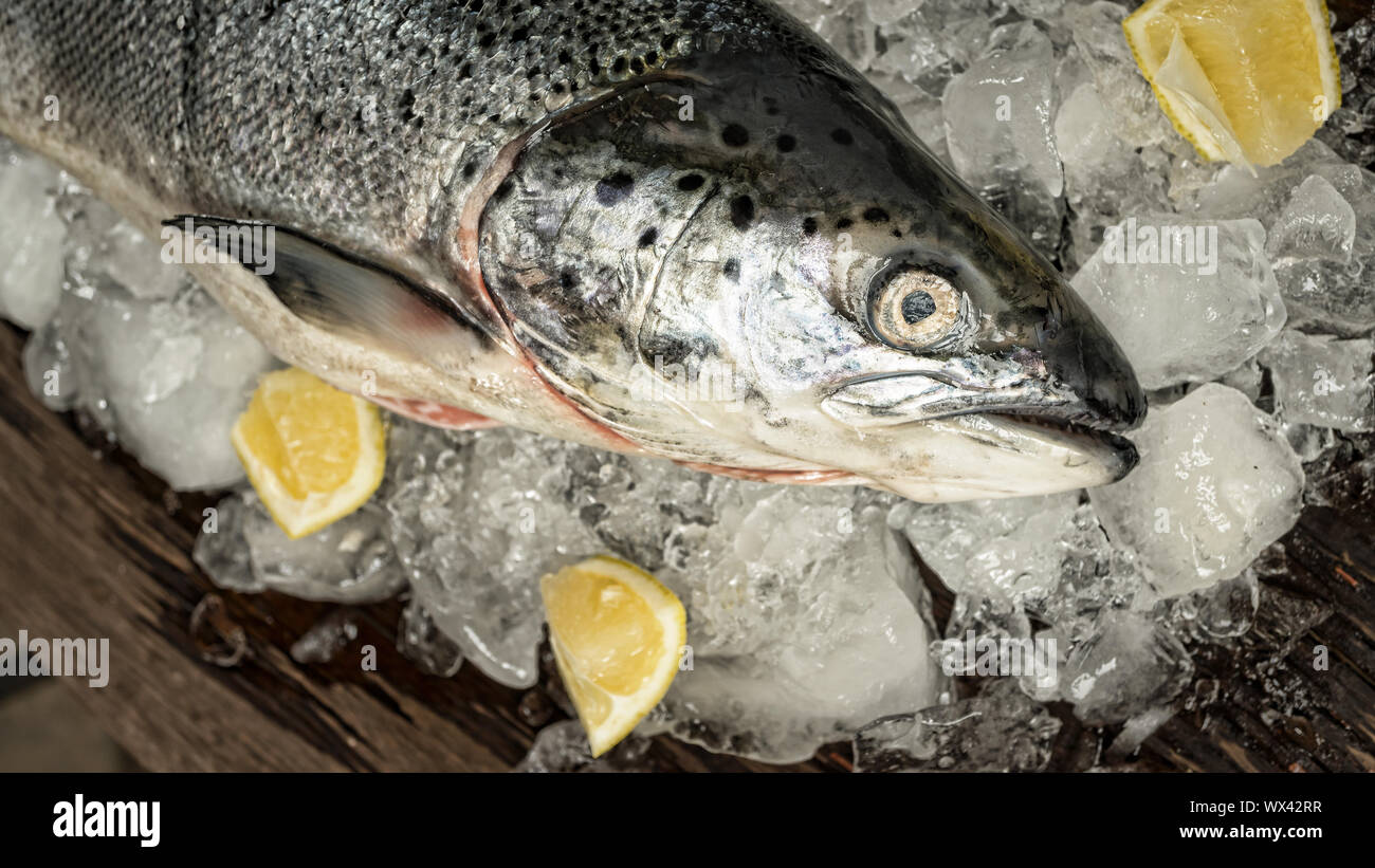 Le saumon, le poisson frais, le poisson sur la glace, la publicité, les poissons store Banque D'Images