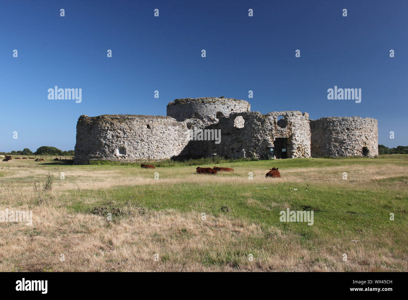 Le Château de Camber, près de Rye, East Sussex. Connu comme un 'Fort', il a été construit pendant le règne de Henry VIII dans le cadre de l'Angleterre de la défense côtière. Banque D'Images