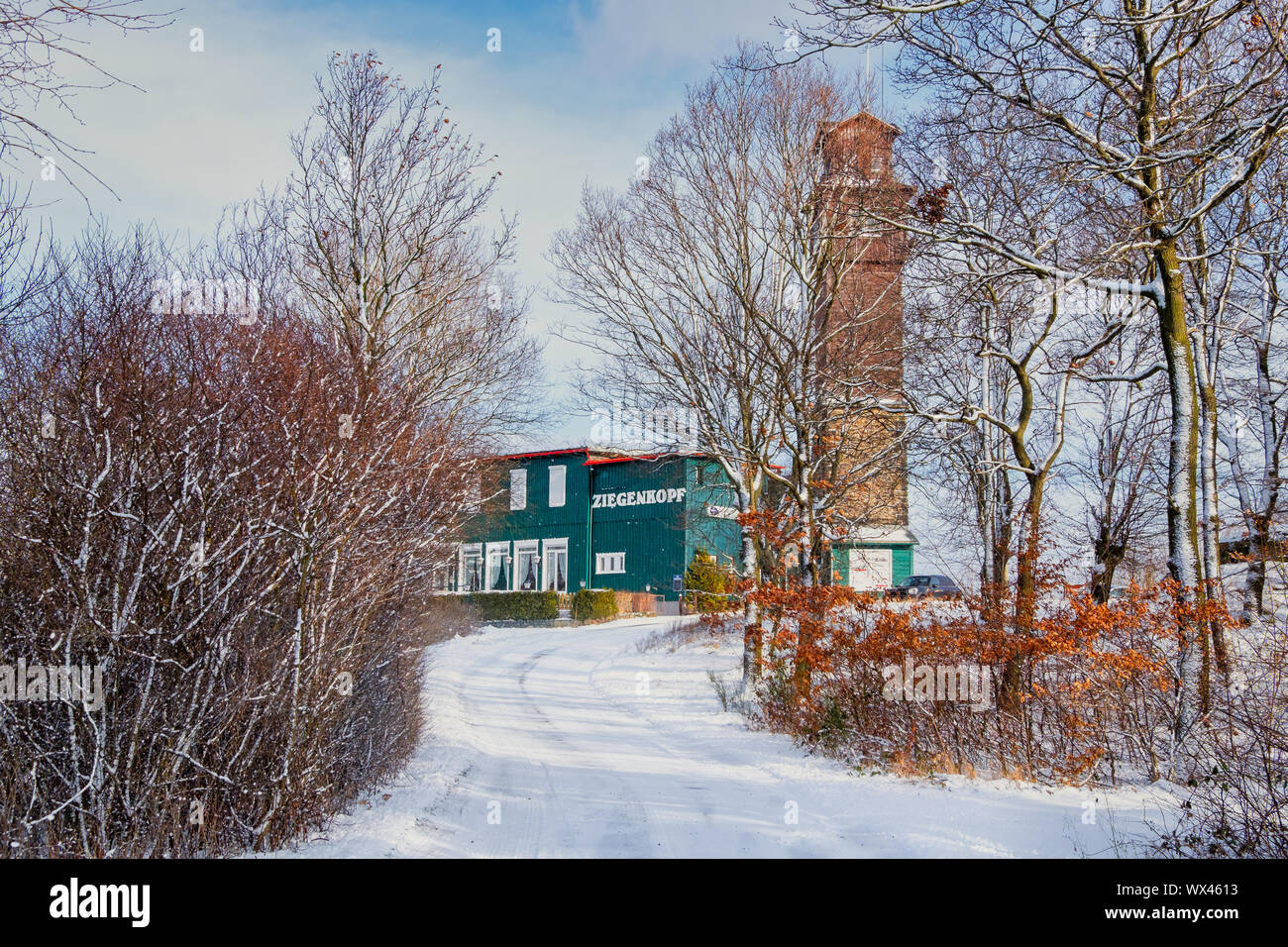 Tête de chèvre résine Blankenburg Banque D'Images