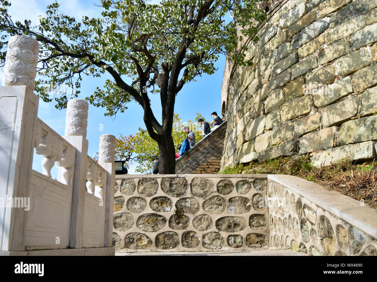 L'accès à l'arbre sur le côté Grande Muraille de Chine, Mutianyu Banque D'Images