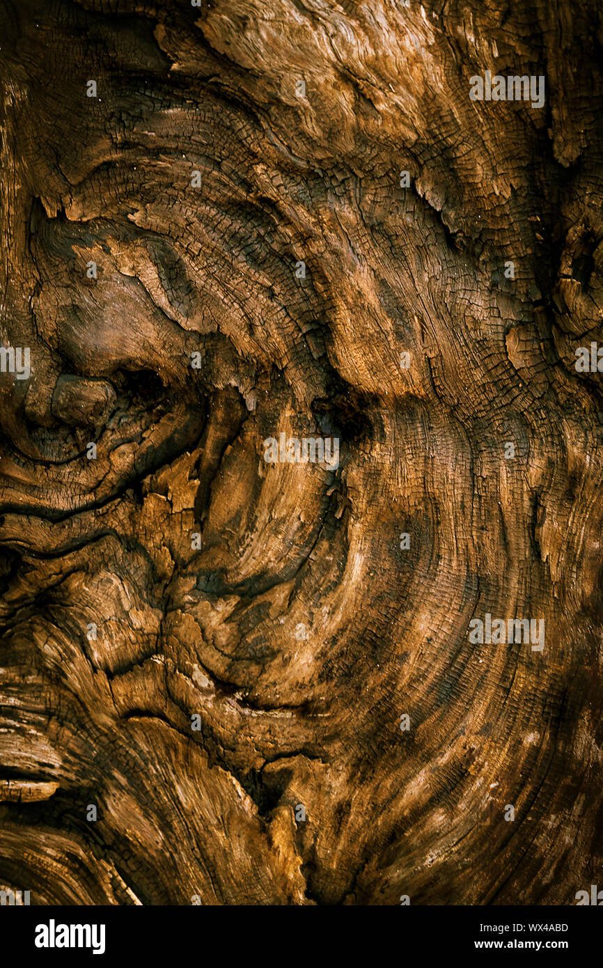 Arrière-plan de superposition de textures de bois Banque D'Images