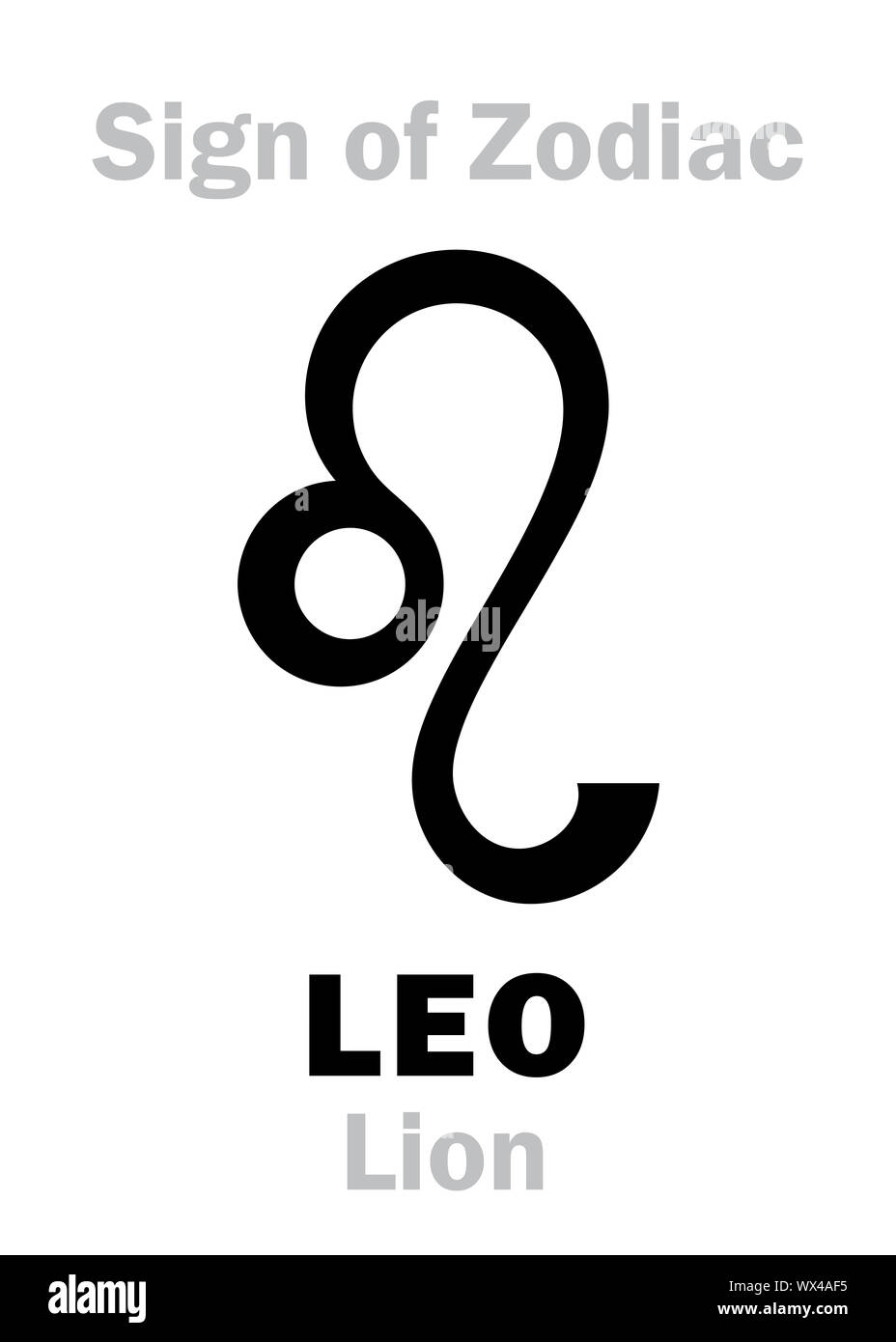 L'ASTROLOGIE : signe zodiacal LION (Le Lion Photo Stock - Alamy