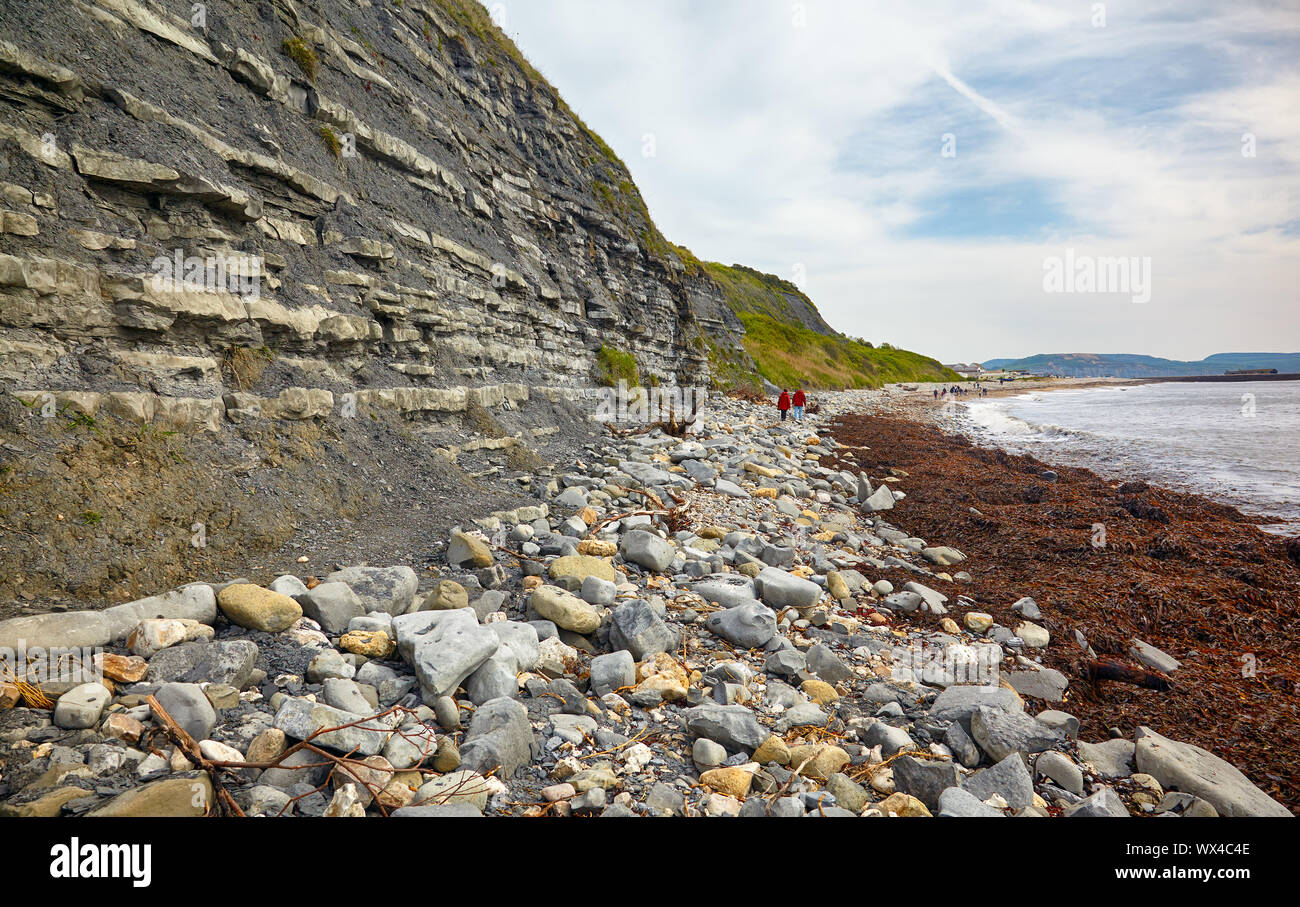 Le Blue Lias de l'Chippel Bay. West Dorset. L'Angleterre Banque D'Images