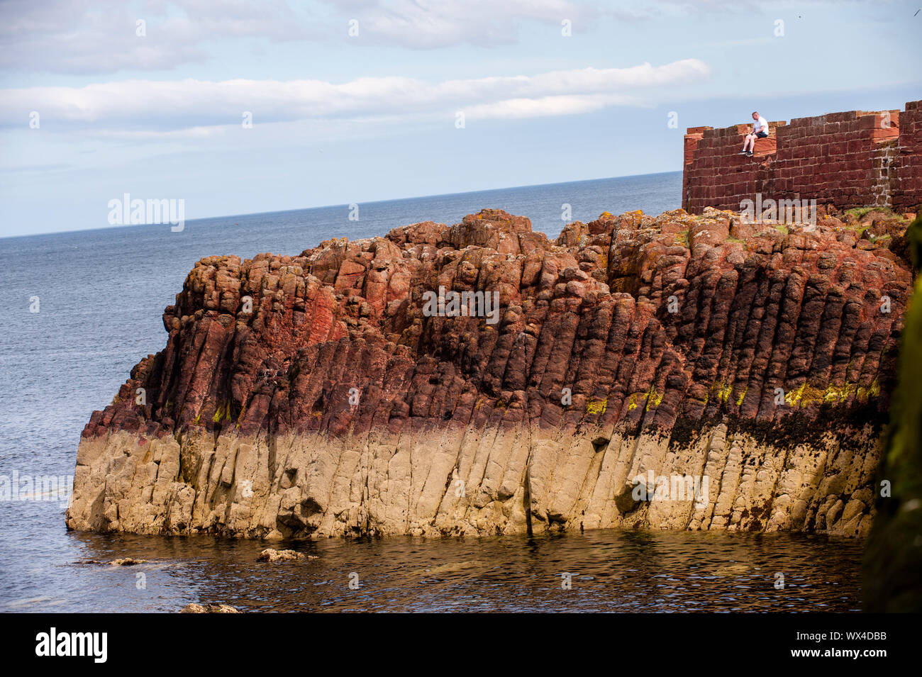 De colonnes s'affiche dans un affleurement de basalte à la batterie, Dunbar. Dunbar est une ville située dans le sud-est de l'Ecosse. Banque D'Images