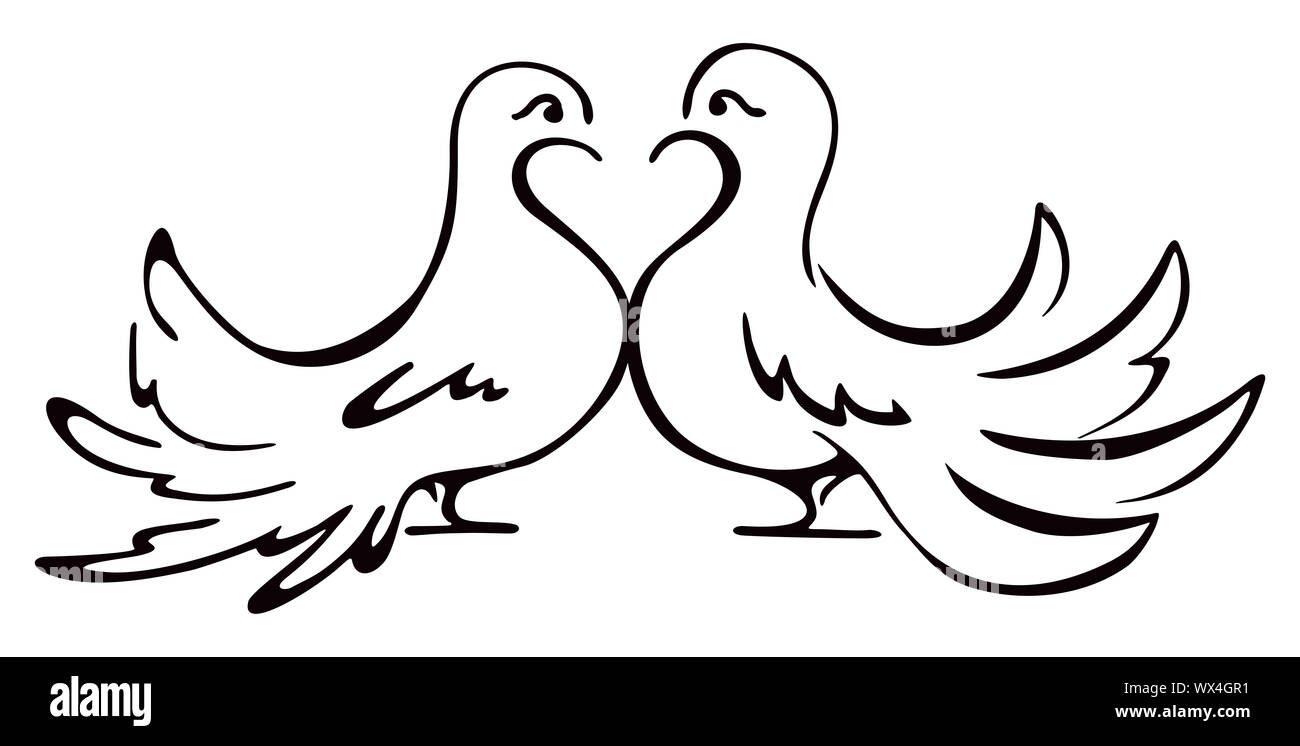 Couple de colombes bien-aimé sur l'illustration Banque D'Images