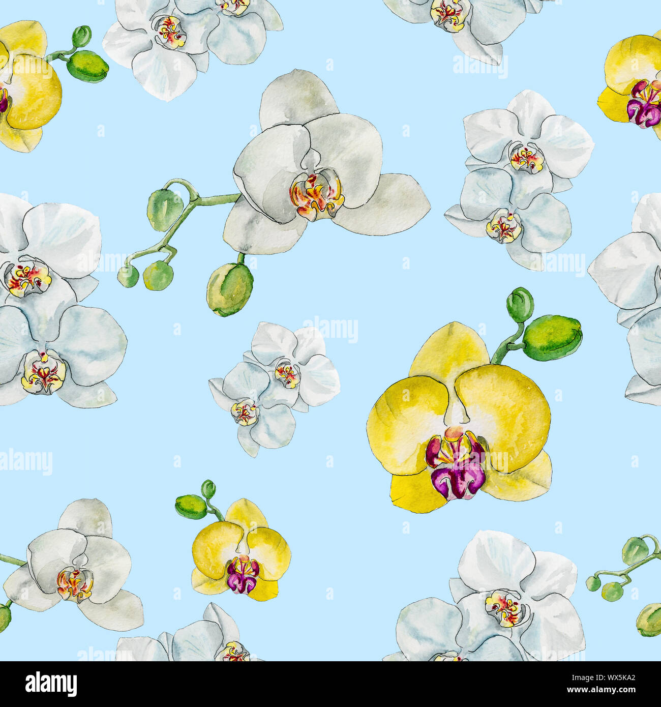 Motif aquarelle avec orchidée fleurs. Banque D'Images