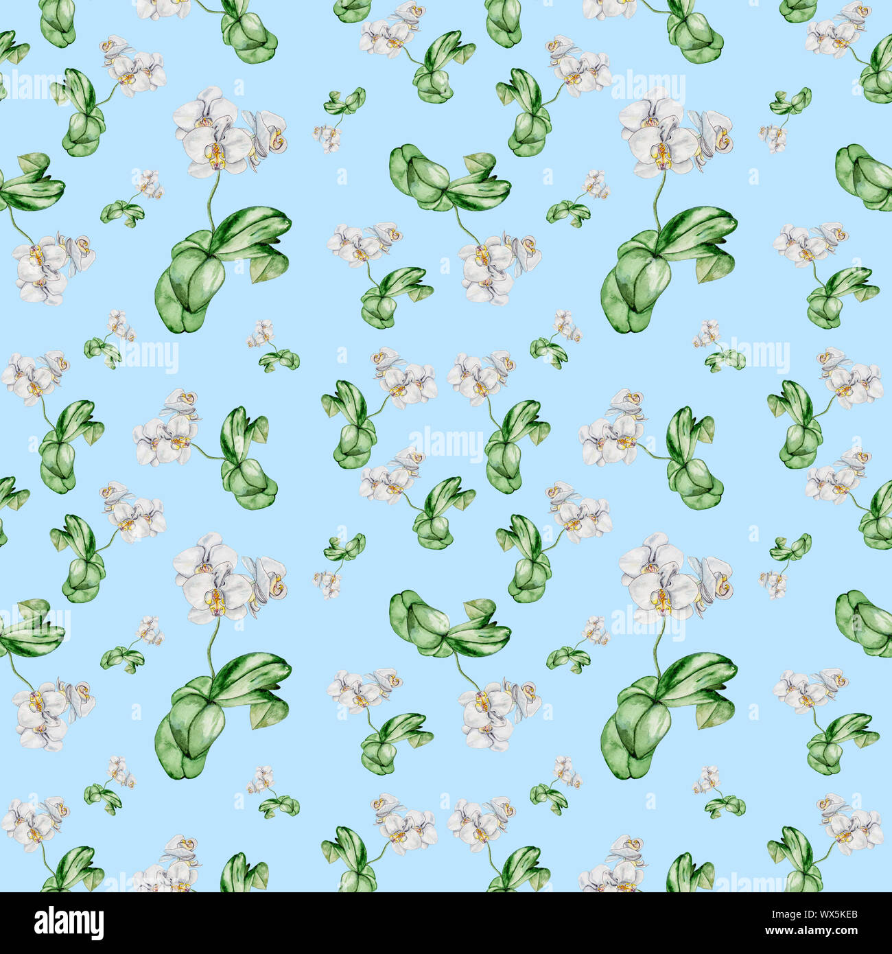 De l'aquarelle à orchidées de fleurs et de feuilles. Banque D'Images