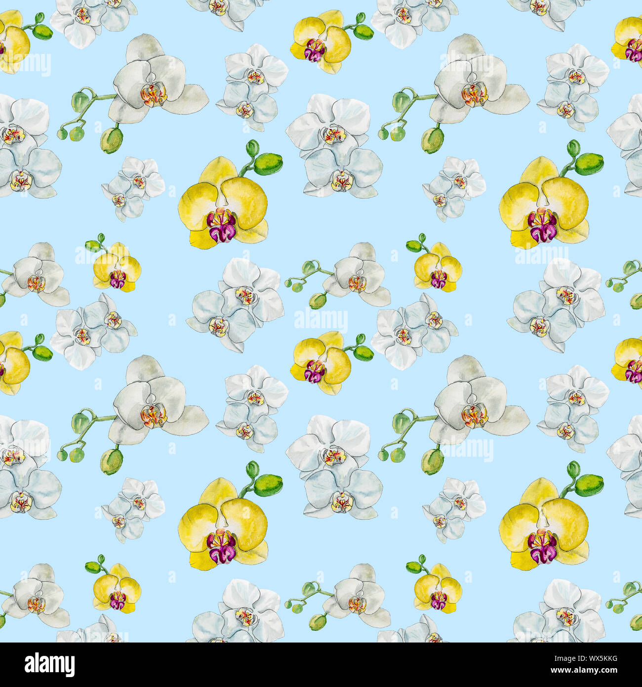 Motif aquarelle avec orchidée fleurs. Banque D'Images