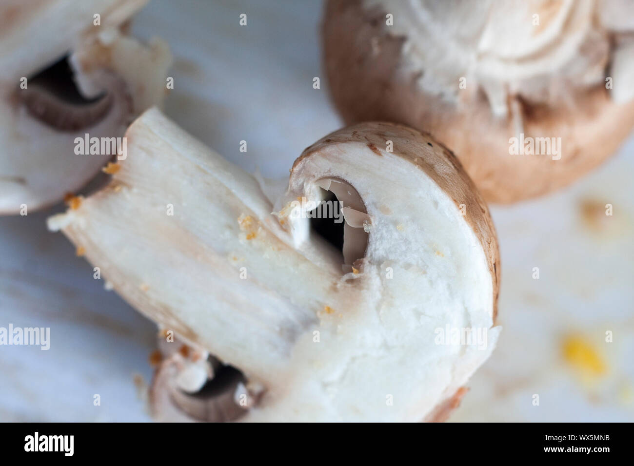 Close-up de champignons châtaigne fraîchement coupé Banque D'Images