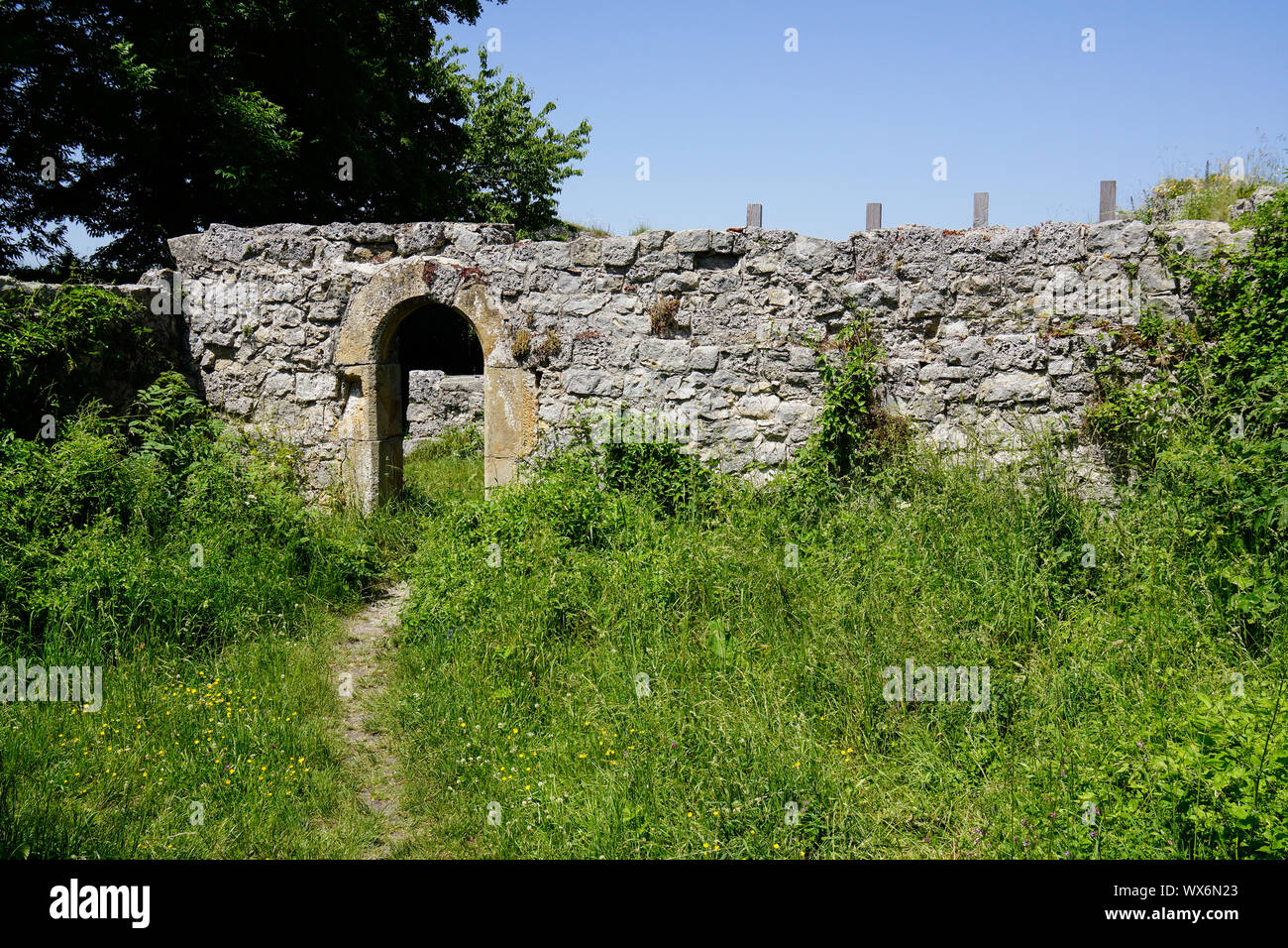 Chemin de porte du mur du château Banque D'Images