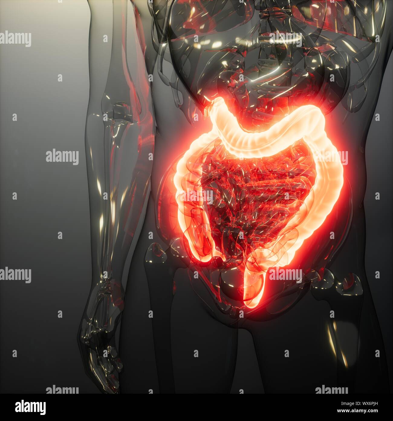 Les examens de radiologie Banque D'Images