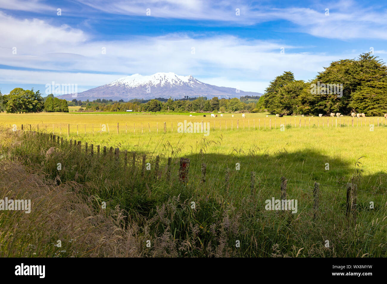 Le mont Ruapehu Volcano en Nouvelle Zélande Banque D'Images