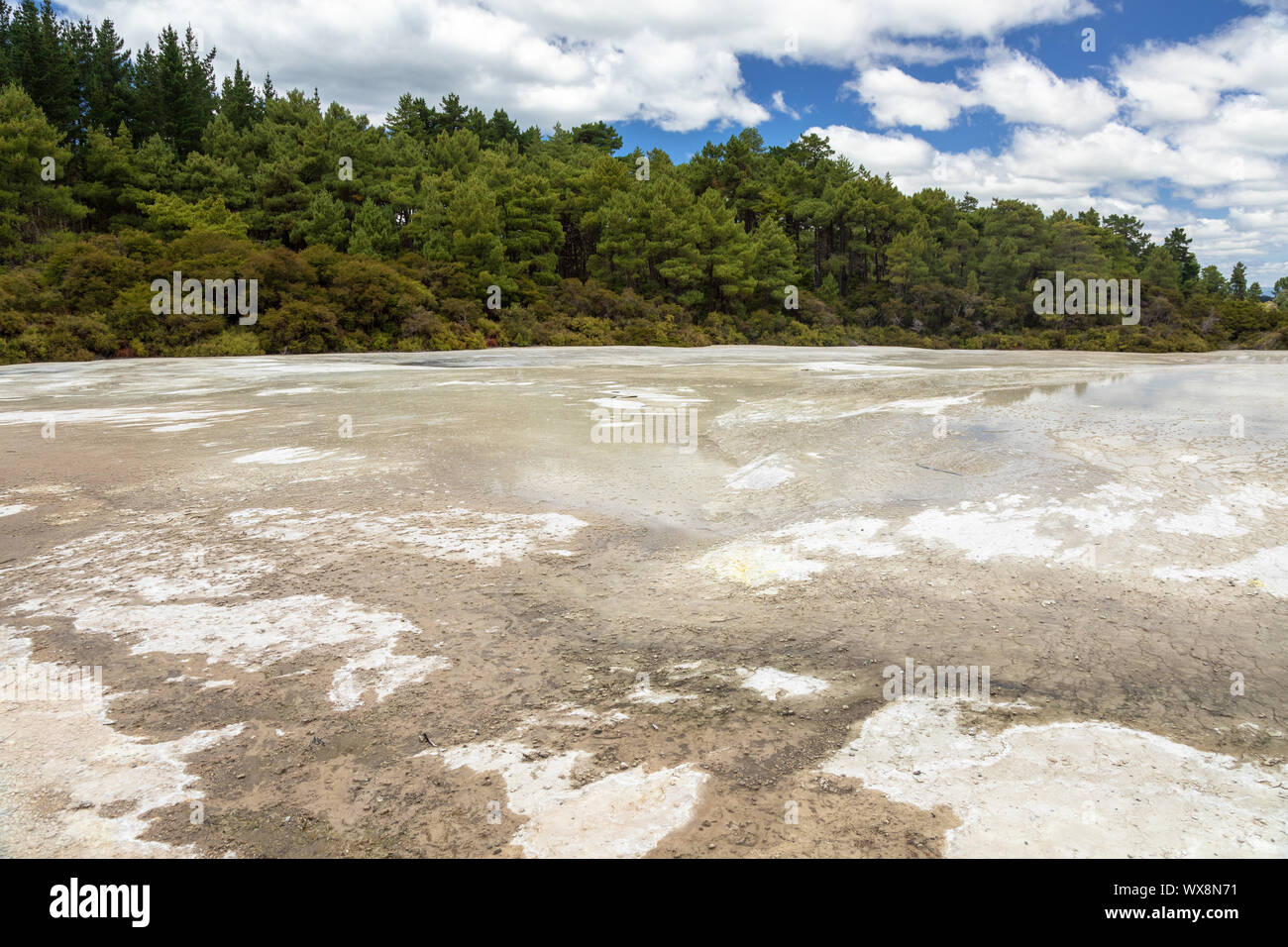 L'activité géothermique de Rotorua en Nouvelle Zélande Banque D'Images