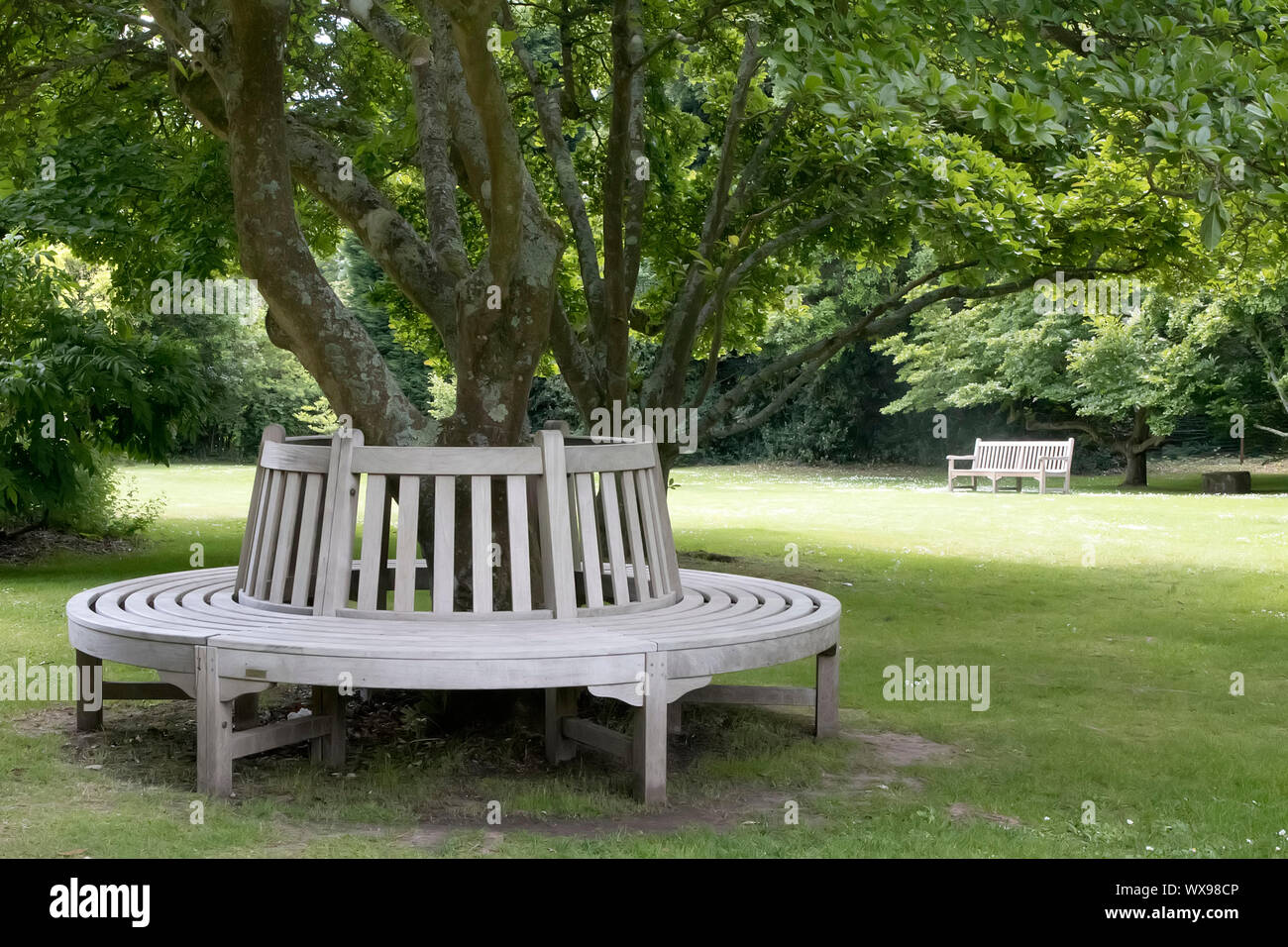 Un vaste jardin privé fournit un espace pour les bancs de jardin, même les vieux arbres environnants Banque D'Images