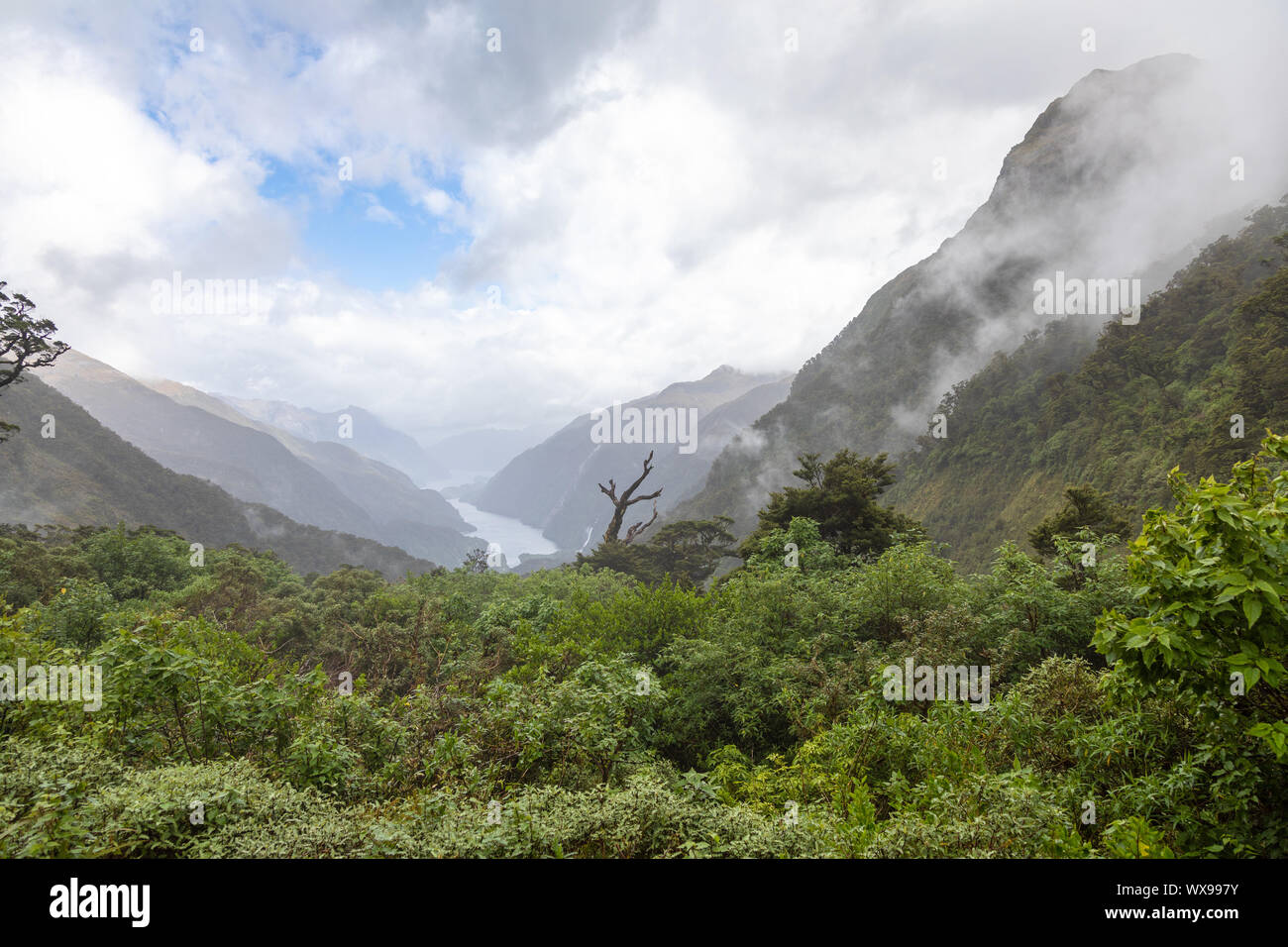 Parc National de Fiordland Nouvelle Zélande Banque D'Images