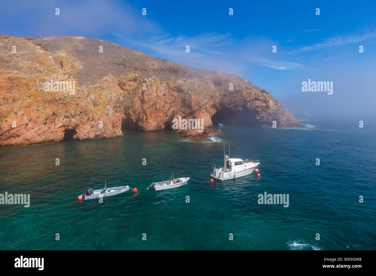 L'île de Berlenga - Portugal Banque D'Images