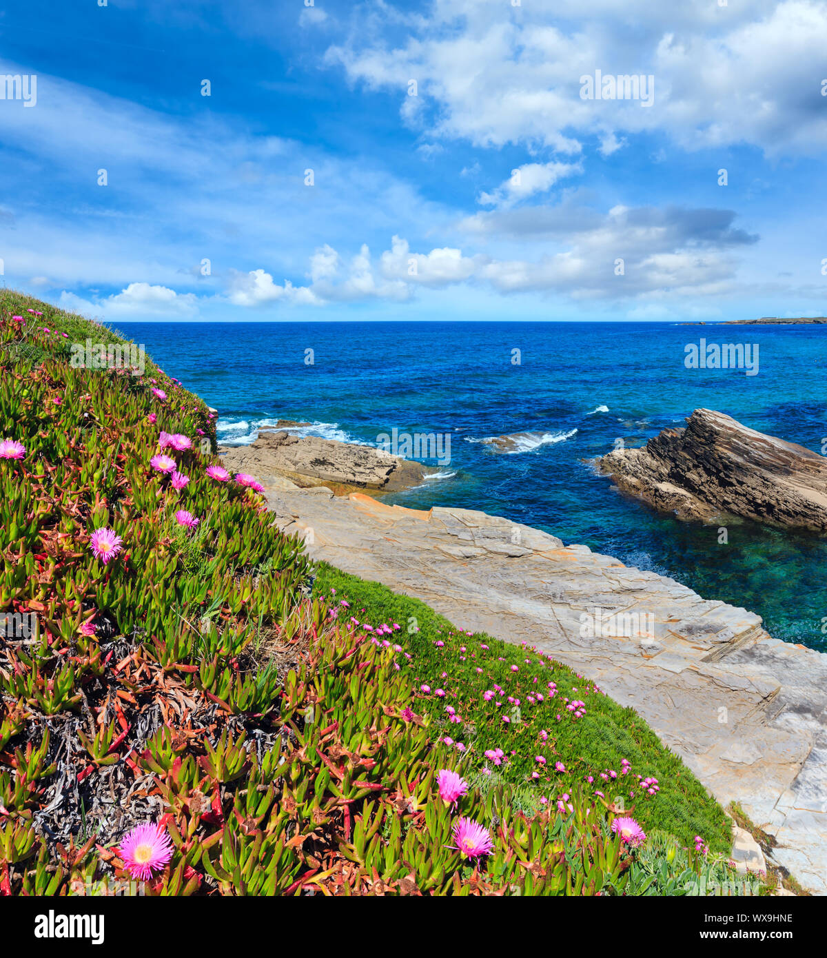 L'épanouissement de l'Atlantique littoral, Espagne Banque D'Images