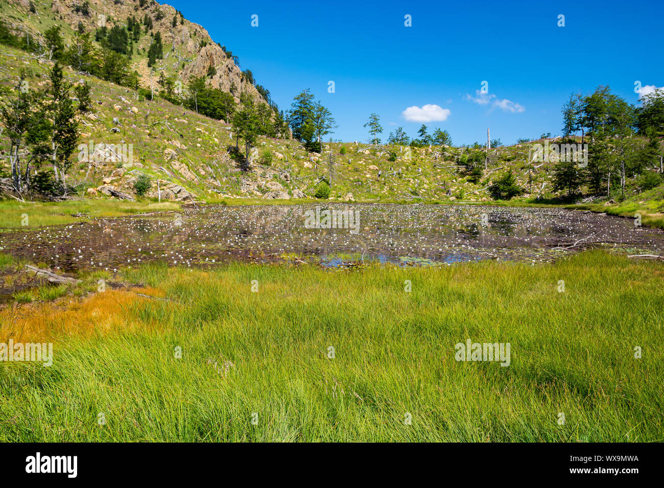 Dans Rrasave Lake Lure, Parc National de l'Albanie Banque D'Images