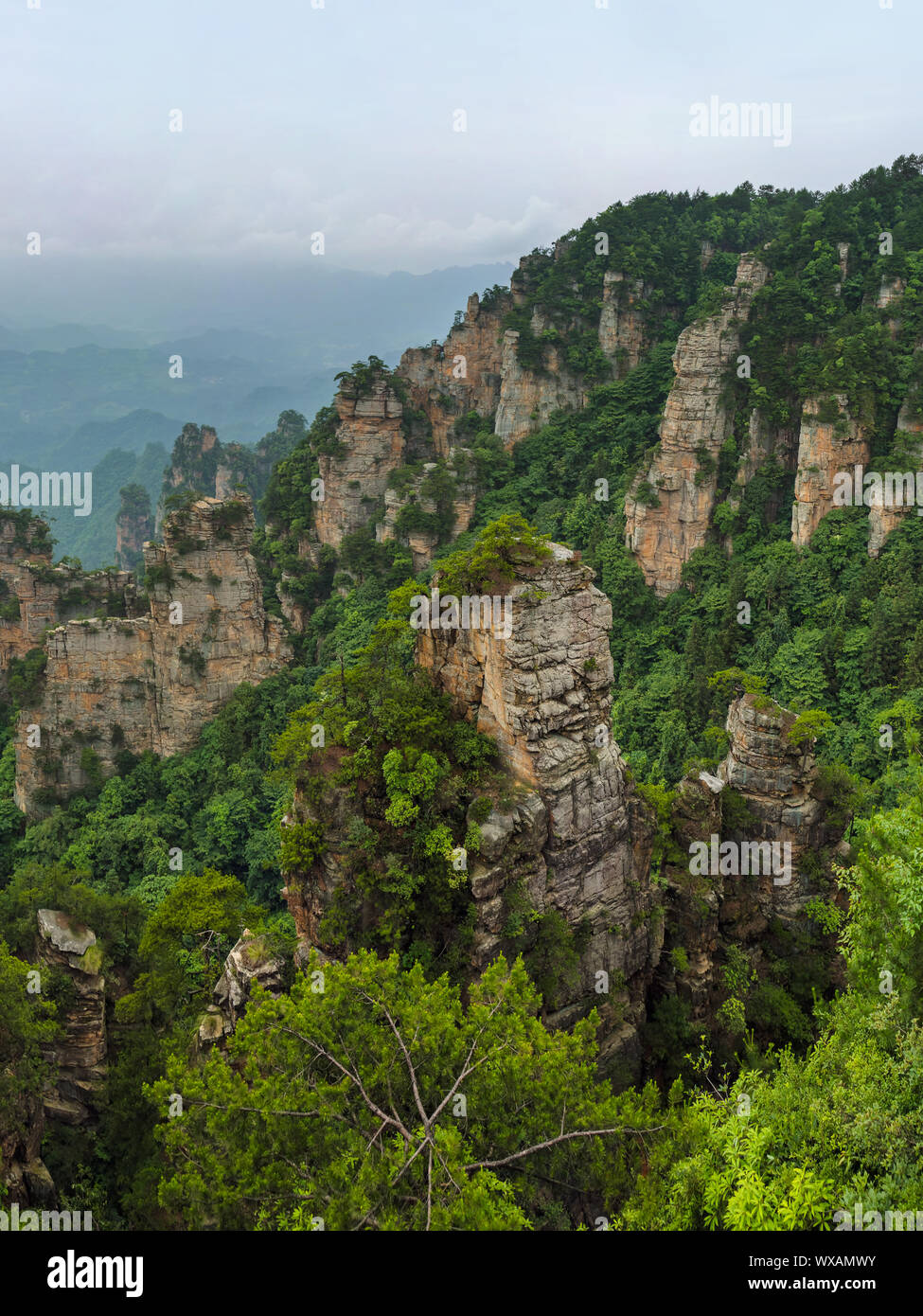 Tianzi Avatar montagnes nature park - Chine Wulingyuan Banque D'Images