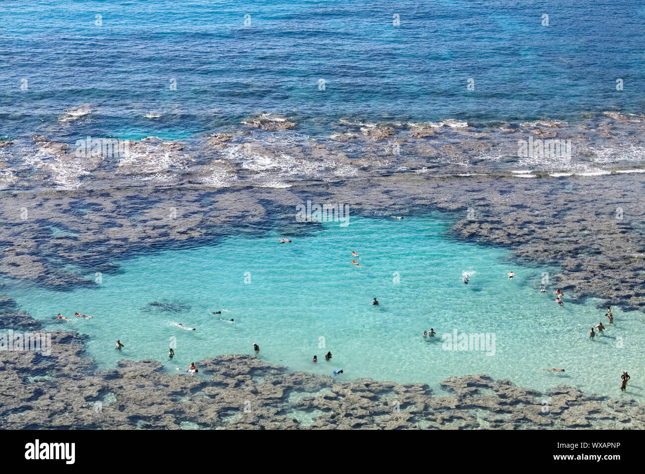 Plongée avec tuba dans la baie d'Hanauma Banque D'Images