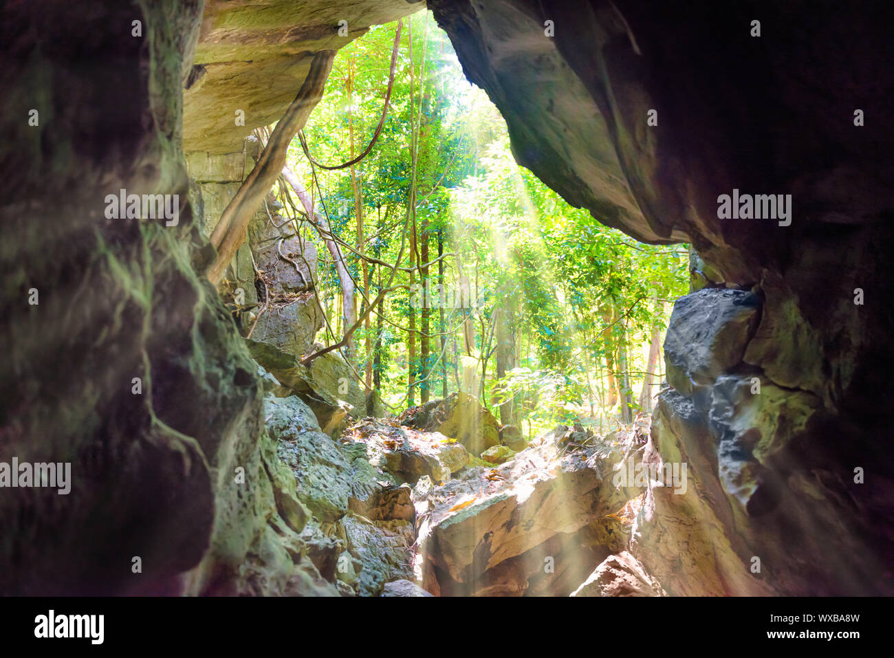 Vue de l'intérieur à l'entrée de grotte naturelle Banque D'Images