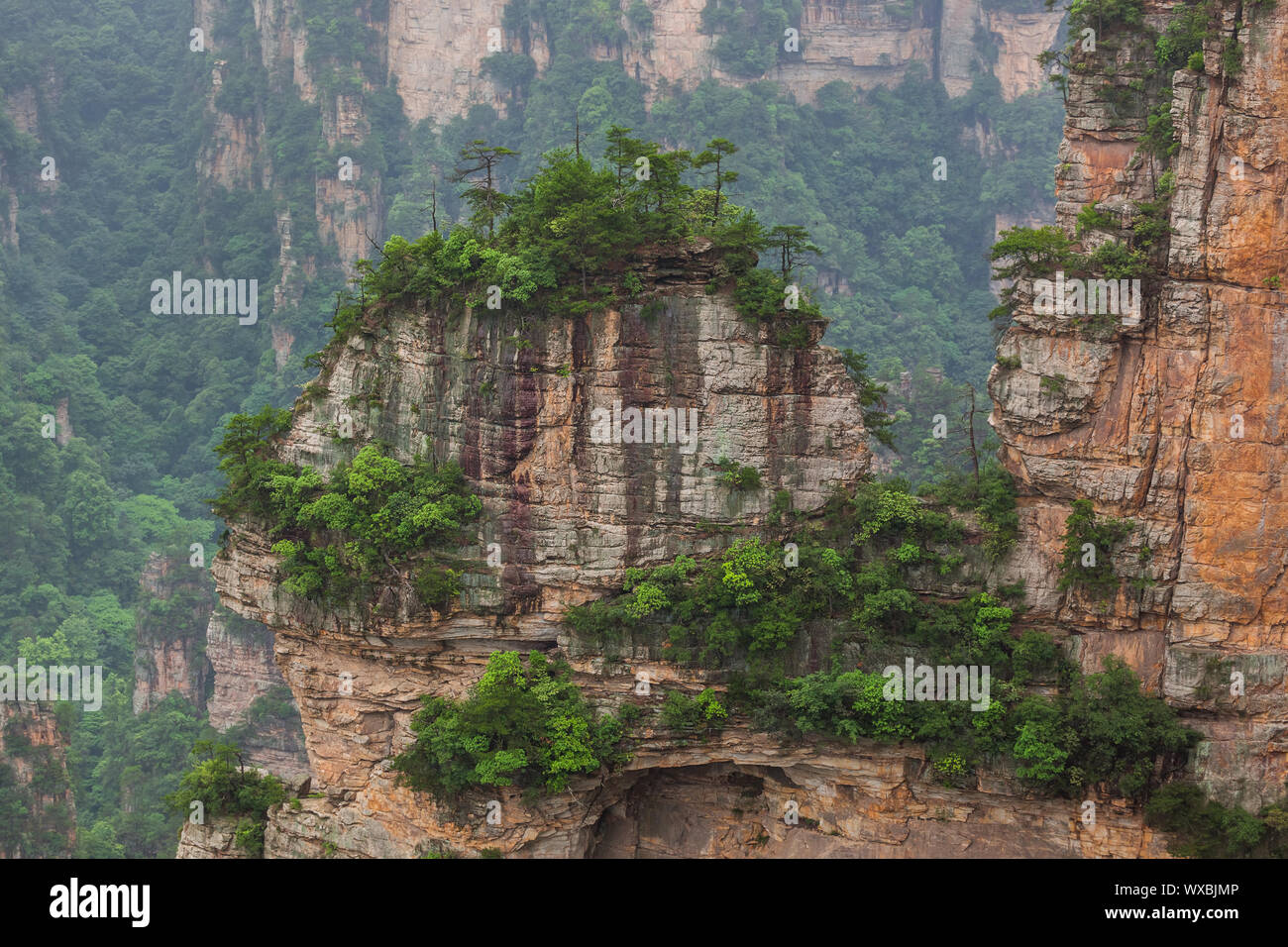 Tianzi Avatar montagnes nature park - Chine Wulingyuan Banque D'Images