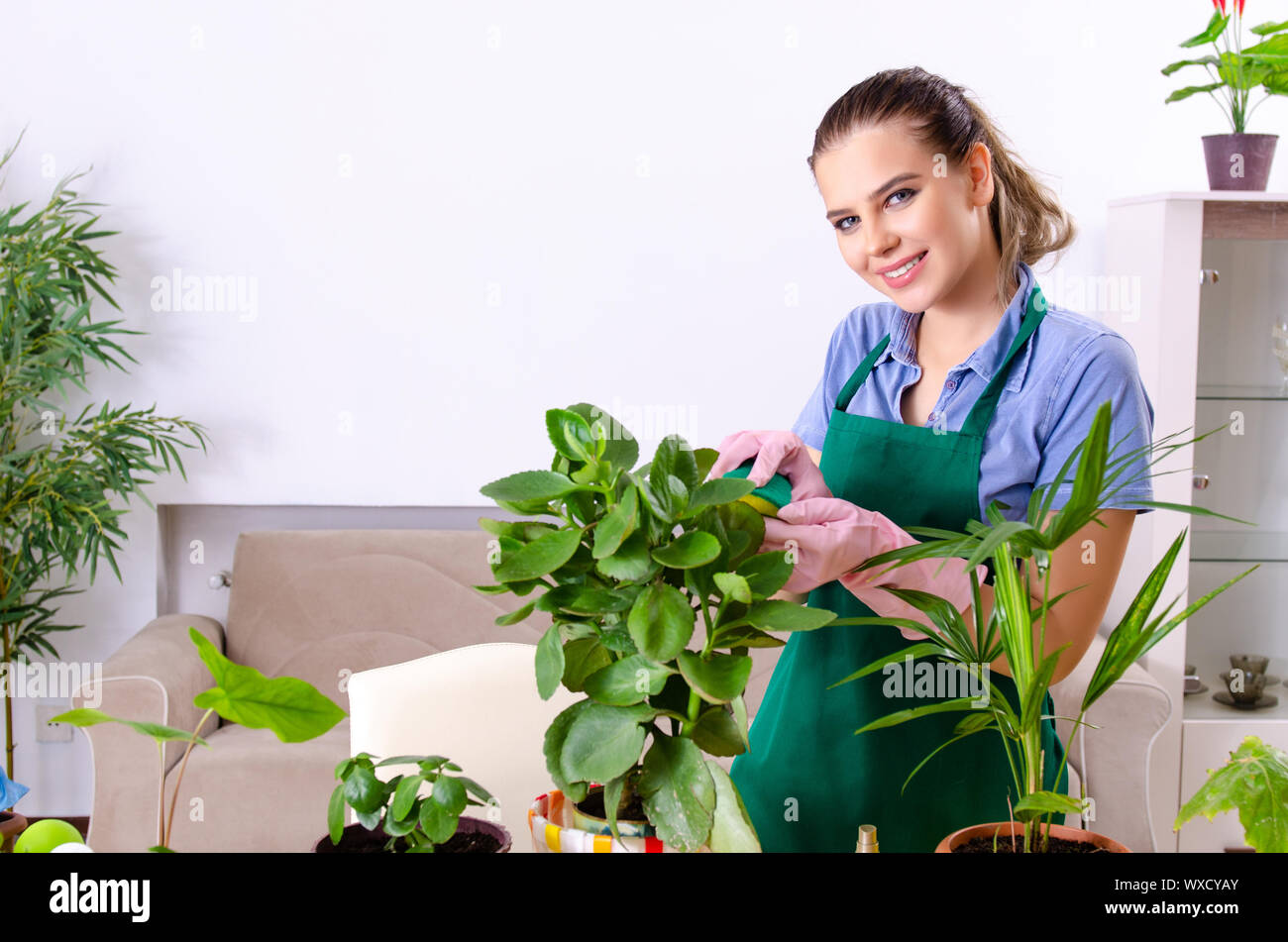 Jeune femme avec des plantes à l'intérieur jardinier Banque D'Images