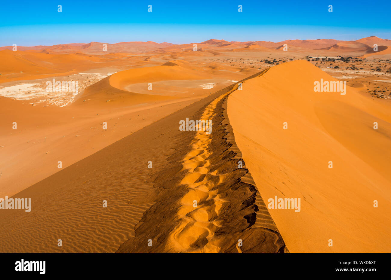 Dans les dunes de sable rouge de Sossusvlei, Deadvlei, Namib-Naukluft National Park, Namibie Banque D'Images