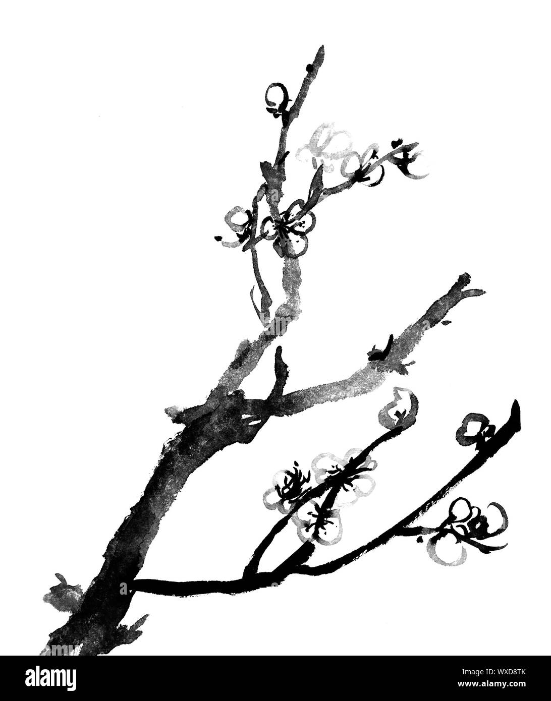 Noir et blanc chinois peinture traditionnelle à l'encre, de prunier sur fond blanc. Banque D'Images