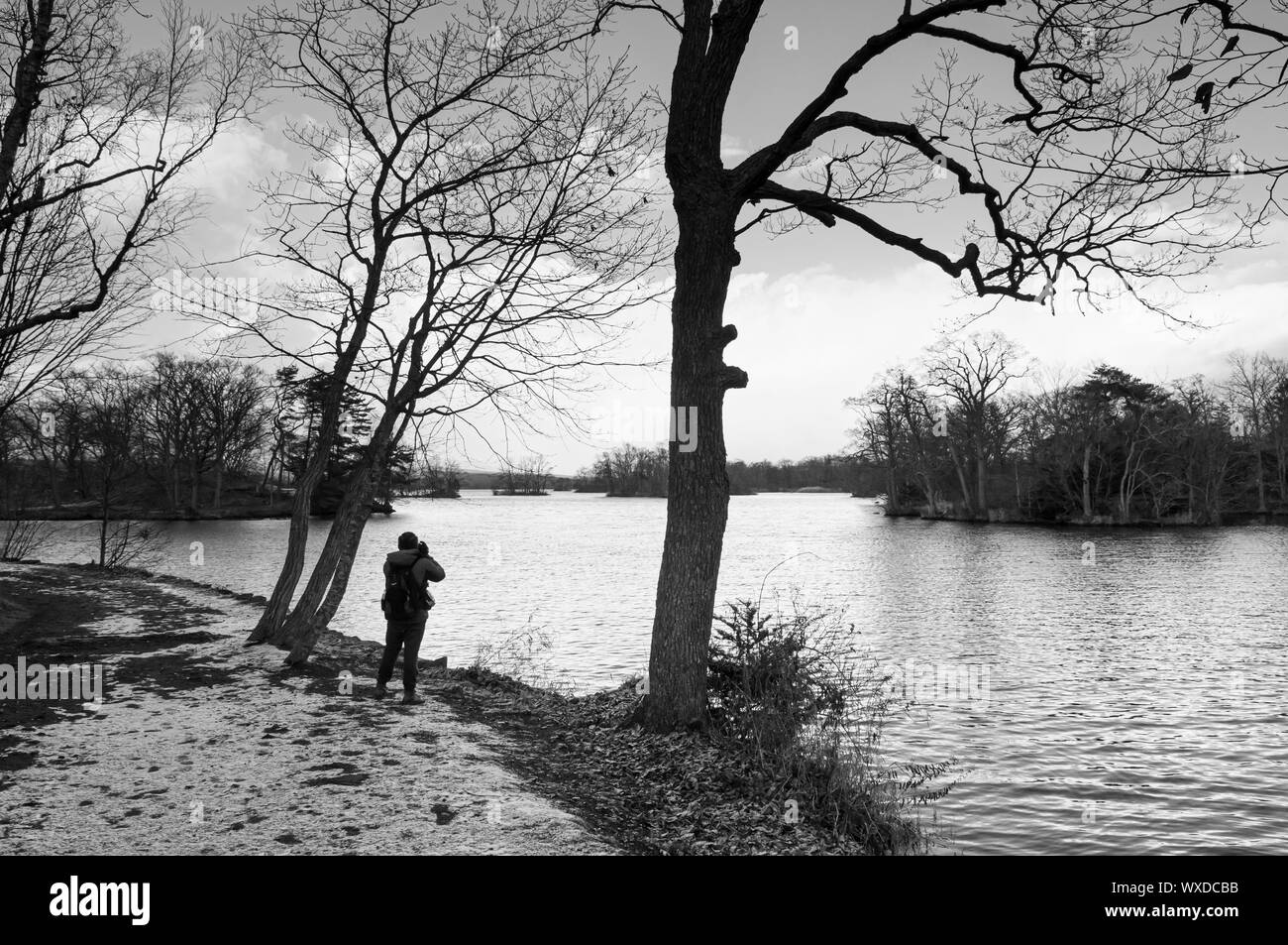 Onuma Koen Quasi -National park Lake et silhouette des arbres dans l'hiver froid pacifique avec les touristes. Hakodate, Hokkaido - Japon. Image en noir et blanc Banque D'Images