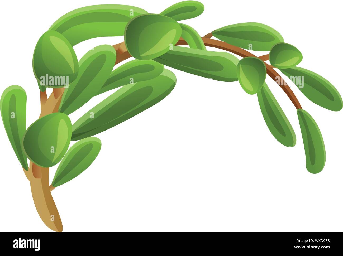 L'icône d'Olive Tree. Caricature d'olive tree icône vecteur pour la conception web isolé sur fond blanc Illustration de Vecteur