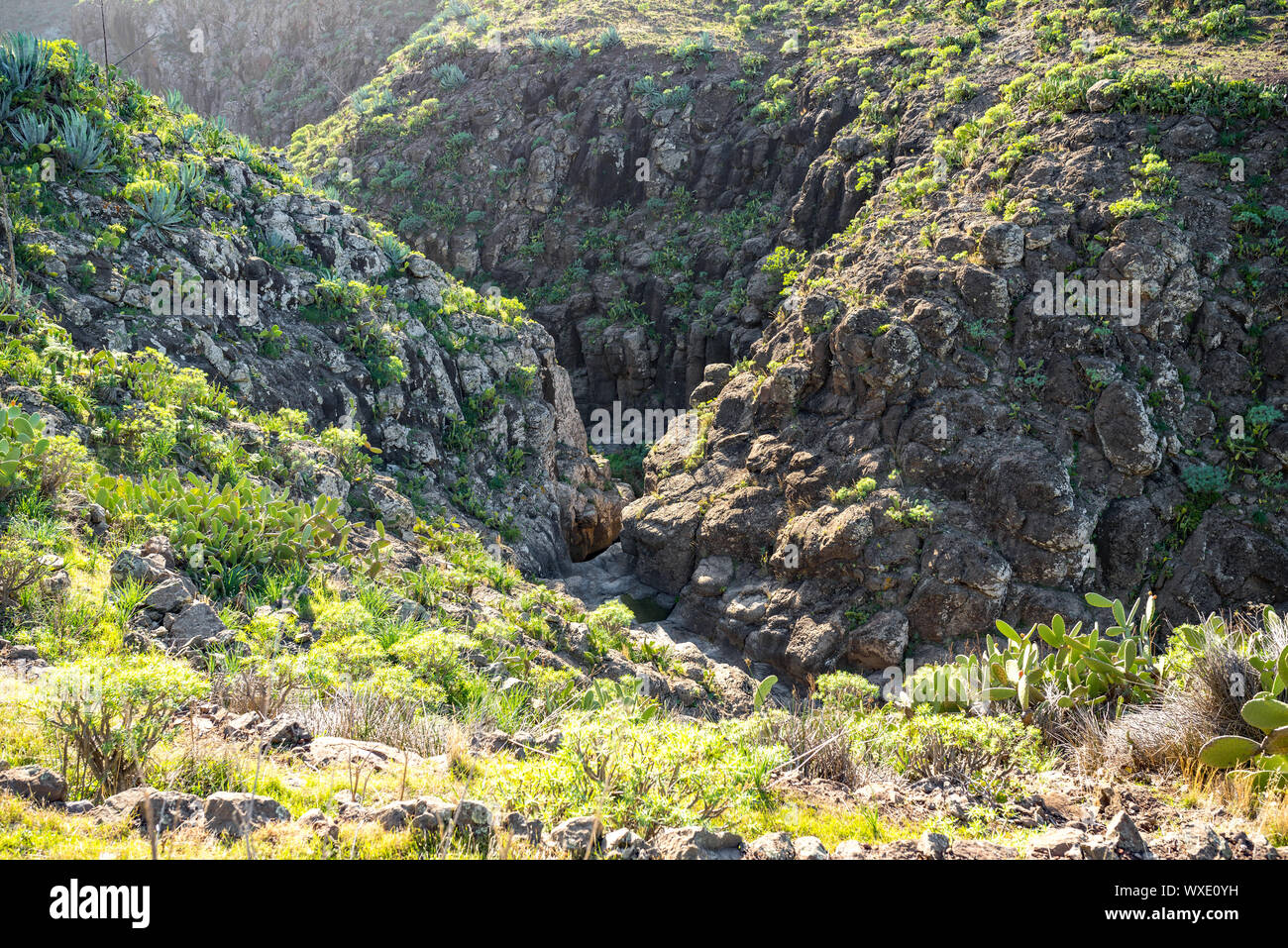 Lit dans le canyon Barranco de Argaga Banque D'Images