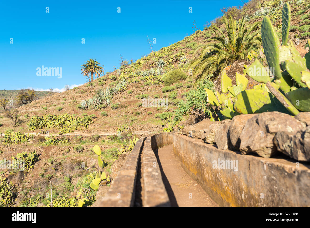 Paysage et sentier de randonnée dans la montagne de l'île de La Gomera Banque D'Images