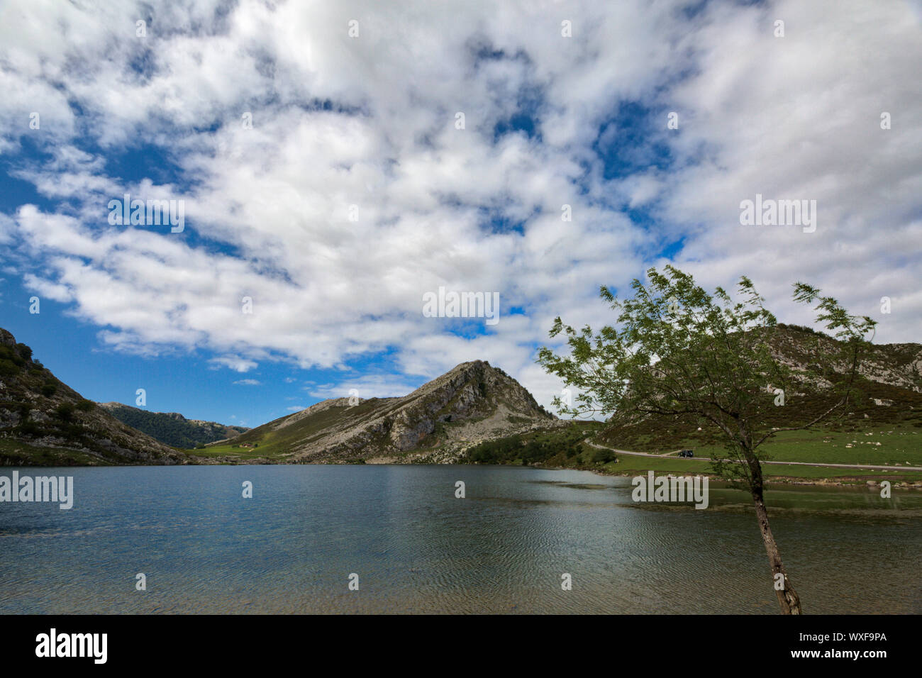 Les Lacs de Covadonga panorama angulaire ultra Banque D'Images